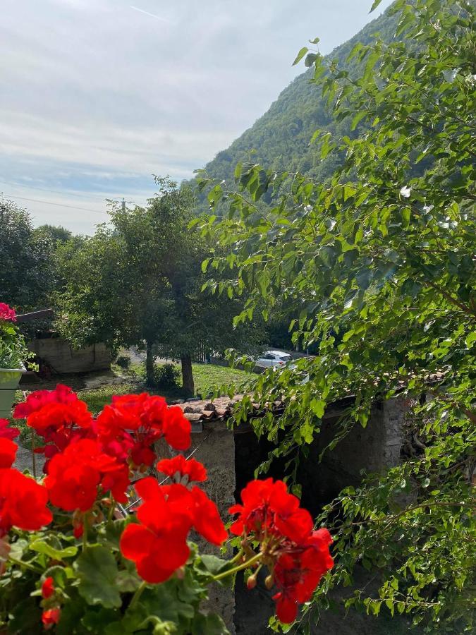 B&B La Corte Del Segrino Canzo Екстериор снимка